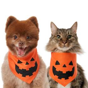 10 Ridiculously Cute Dog Halloween Costumes