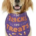 This one for pups who know their worth: Frisco I Do Tricks For Treats Dog & Cat Bandana