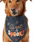 This bandana for dogs who want the best of both worlds: Frisco Sweet & Spooky Dog & Cat Bandana