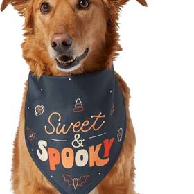 Dog on sale halloween bandanas