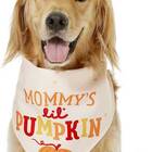 This bandana made for dog moms: Frisco Mommy's Lil Pumpkin Dog & Cat Bandana