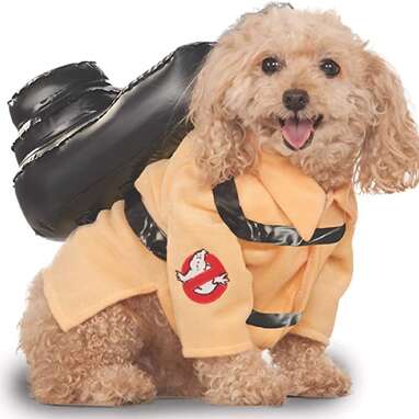 Dogs in ghost clearance costumes