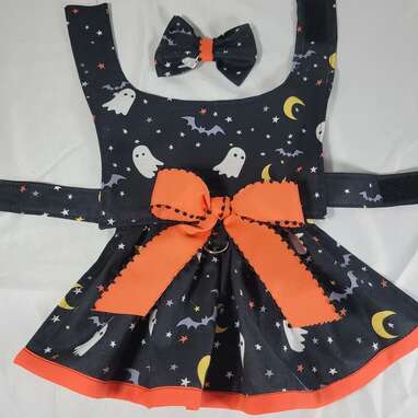 Like bows? This one’s for you: PetPreciousness Halloween Dog Dress