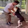 Loudest Dog At Shelter Is Stunned Silent When He Sees His Dad Again