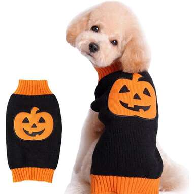 Perfect for your cute lil jack-o’-lantern: NACOCO Dog Sweater Pumpkin