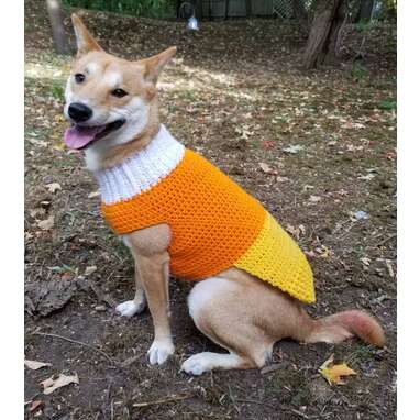 You can never have enough candy corn themed-sweaters, right?: Candy corn dog sweater