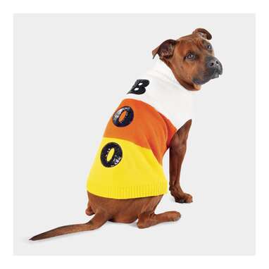 Classic Halloween candy representation: Halloween Candy Corn Boo Dog Sweater