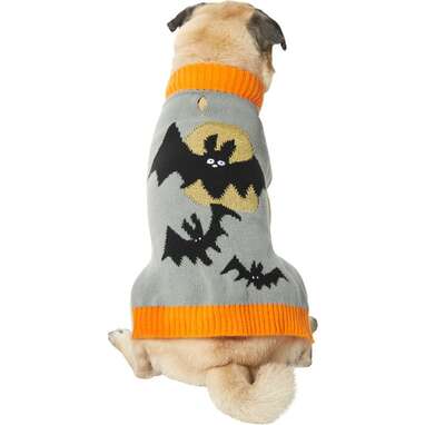 Watch out for bats in this lightweight sweater: Frisco Spooky Bat Dog & Cat Sweater