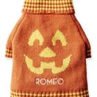 A personalized look for your little “pup-kin”: Knit pumpkin dog sweater