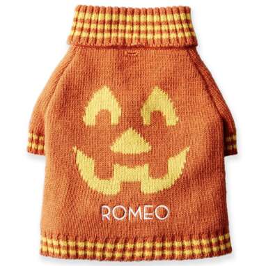 A personalized look for your little “pup-kin”: Knit pumpkin dog sweater