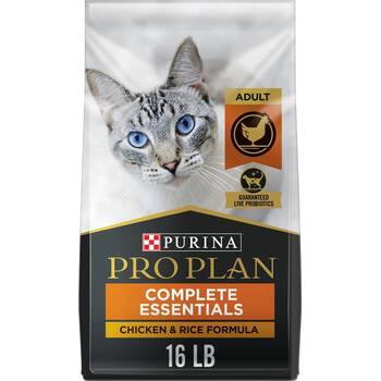 Best Natural Dry Cat Food