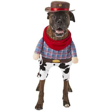 Cowgirl dog costume sale