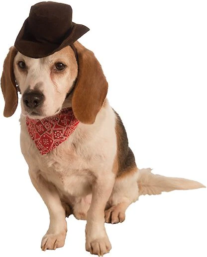 Dog cowboy clearance costume