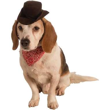 Dog costume with cowboy on back sale