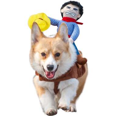 Woody riding best sale dog costume