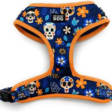 You’ll be all ready to celebrate the Day of the Dead: Big Heart Dog’s Dia de Muertos Dog Harness
