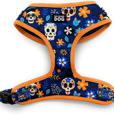 Halloween sale dog harness