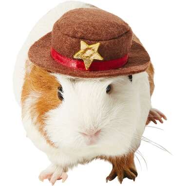 To give your guinea pig a little giddyup: Frisco Cowboy Guinea Pig Costume