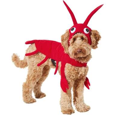 If your dog wants to try out a different set of claws: Frisco Red Lobster Dog Costume