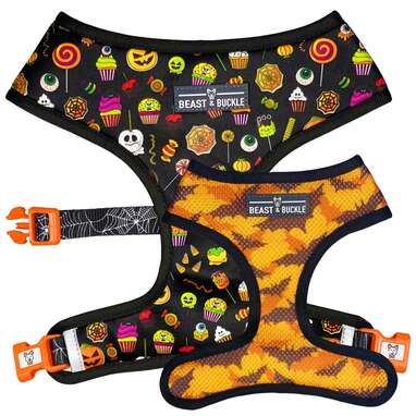 Halloween sale dog harness