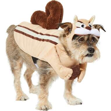 The best way for your dog to make peace with the critters outside: Frisco Chipmunk Dog Costume