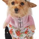 For your senior pup: Frisco Granny Dog Costume