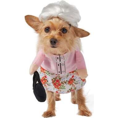 For your senior pup: Frisco Granny Dog Costume