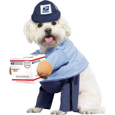 A costume that comes with a special delivery: California Costume Collections USPS Dog Mail Carrier Costume