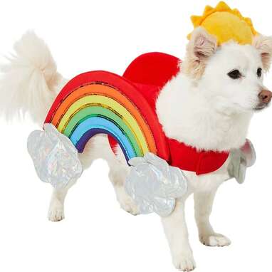 Rainbow dog outfit best sale