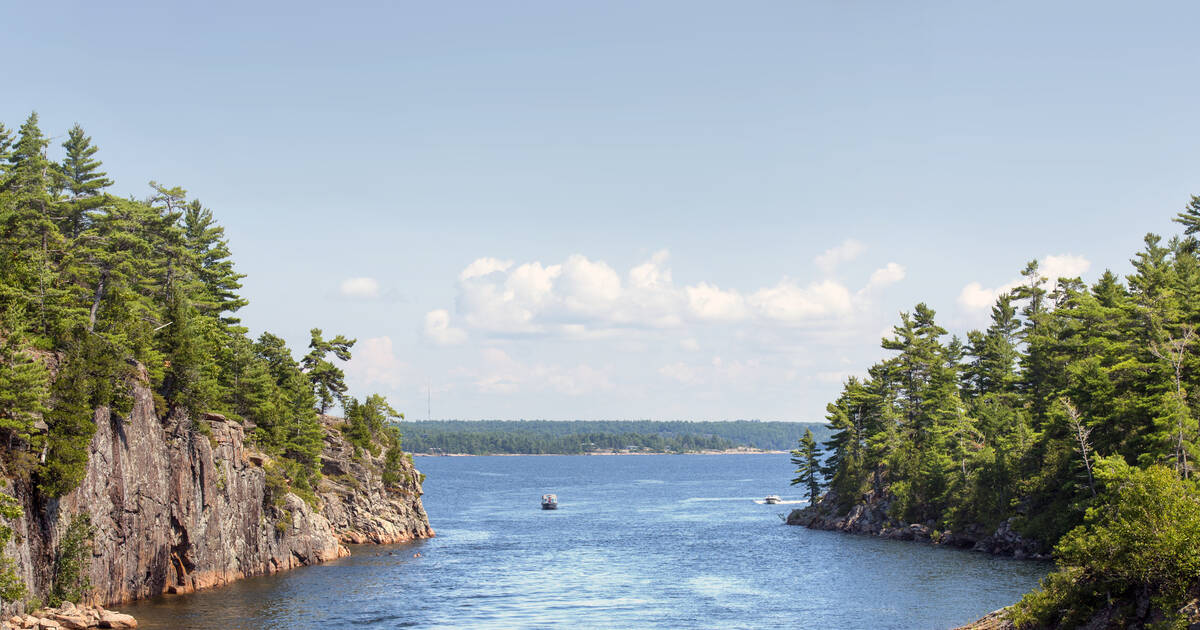 Rod tree suggestions - This Old Boat - Lake Ontario United - Lake