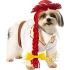 This Jessie costume for your spunky cowgirl: Rubie’s Costume Company Disney’s Toy Story Pet Costume, Jessie