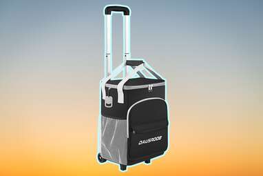 Dausroob Insulated Rolling Cooler Bag