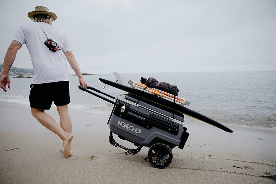 Best beach 2024 cooler bag