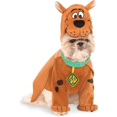 28 Best Matching Dog and Owner Halloween Costumes