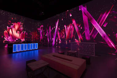 Illuminarium After Dark
