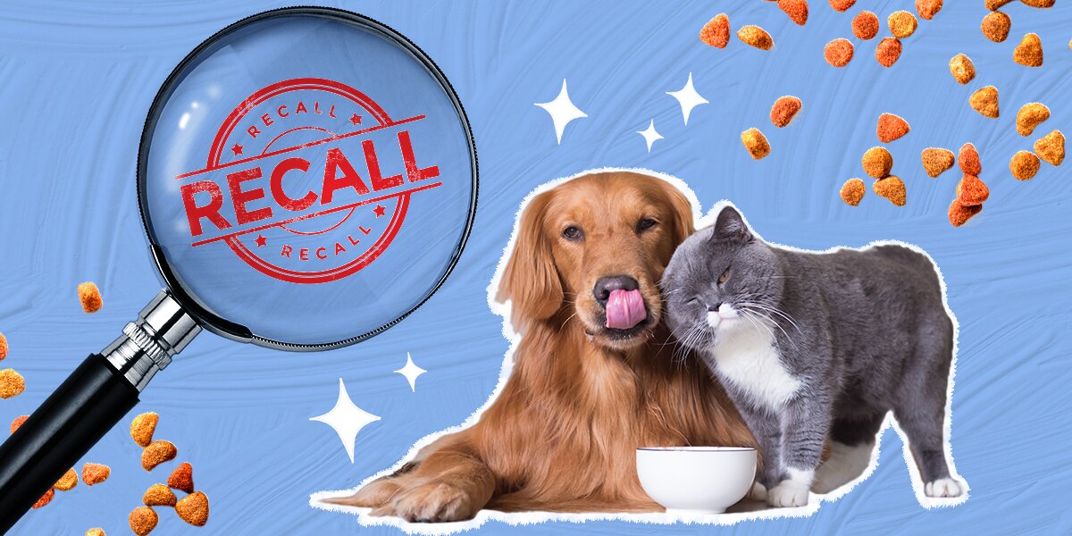 Pet Food Recall Every Brand That s Been Recalled In The Past Five