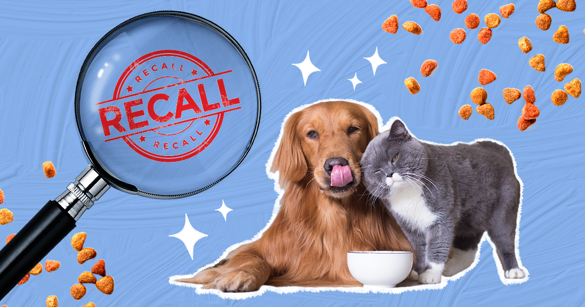 Pet Food Recall Every Brand That s Been Recalled In The Past Five