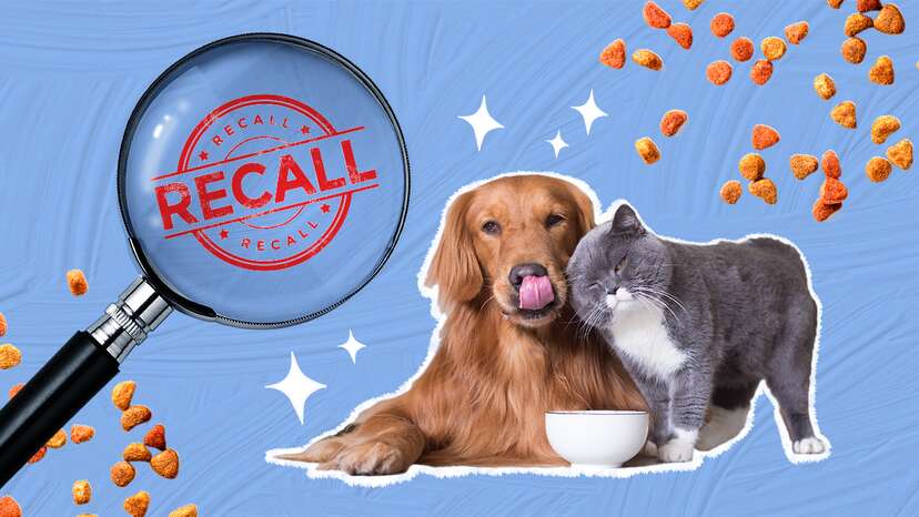 Pet pride dog 2025 food recall 2018