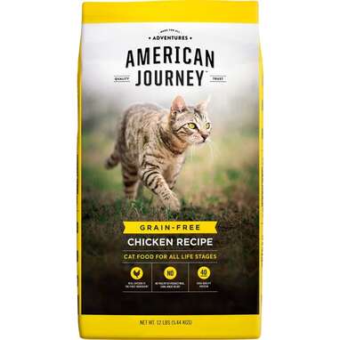 Best overall grain-free cat food: American Journey Grain-Free Dry Cat Food