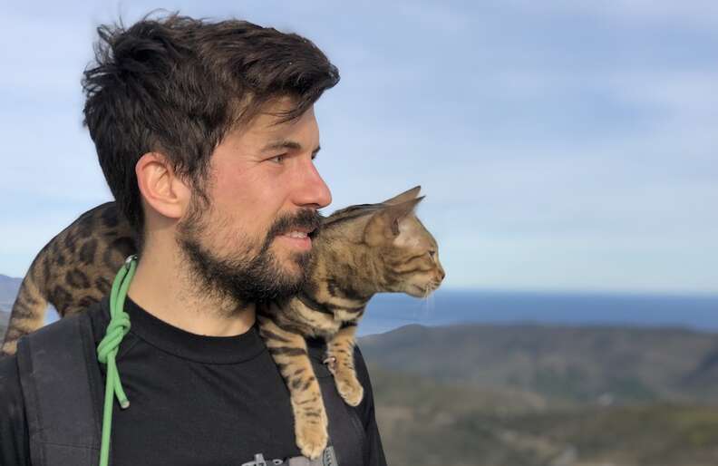 Hiking With Your Cat Tips From An Experienced Pet Parent