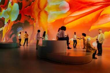 Illuminarium Atlanta