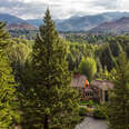 trees surrounding cabin