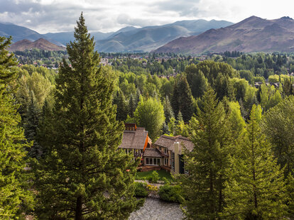 trees surrounding cabin