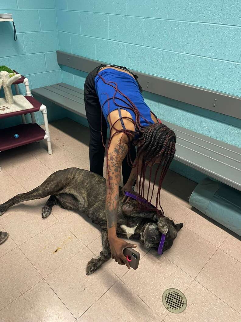woman taking photo of dog