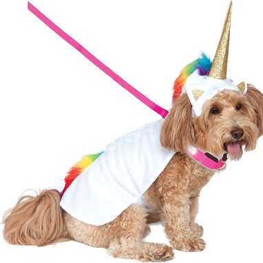 This light-up unicorn costume that comes with an attached collar: DC Comics Pet Costume
