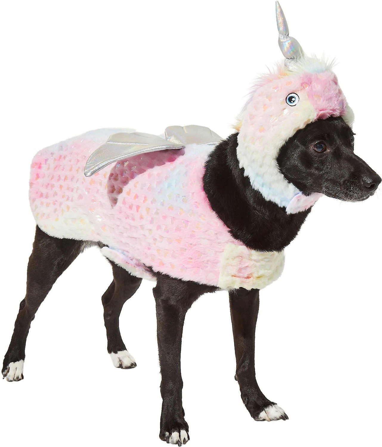 Dog 2024 unicorn outfit