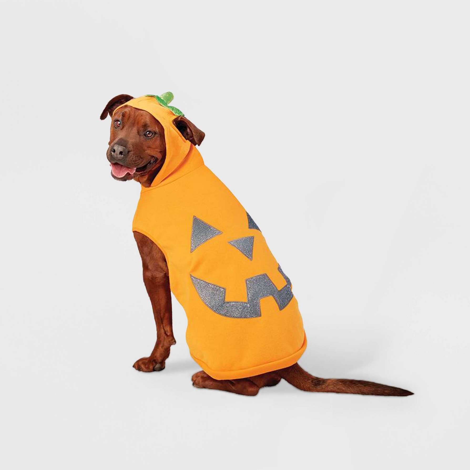 Dog pumpkin clearance costumes