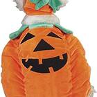 This plush costume that gives your dog a realistic pumpkin shape: Zack & Zoey Pumpkin Pooch Costume