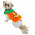 This goofy-looking jack-o'-lantern costume: Woof Jack-O'-Lantern Pumpkin Dog Costume