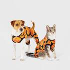 These cozy pumpkin-themed pajamas that are available for both dogs and people: Halloween Pumpkins Matching Dog Pajamas From Hyde & EEK! Boutique 